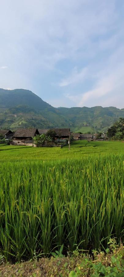 Organic Farm Homestay Sa Pa Eksteriør bilde