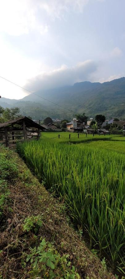 Organic Farm Homestay Sa Pa Eksteriør bilde