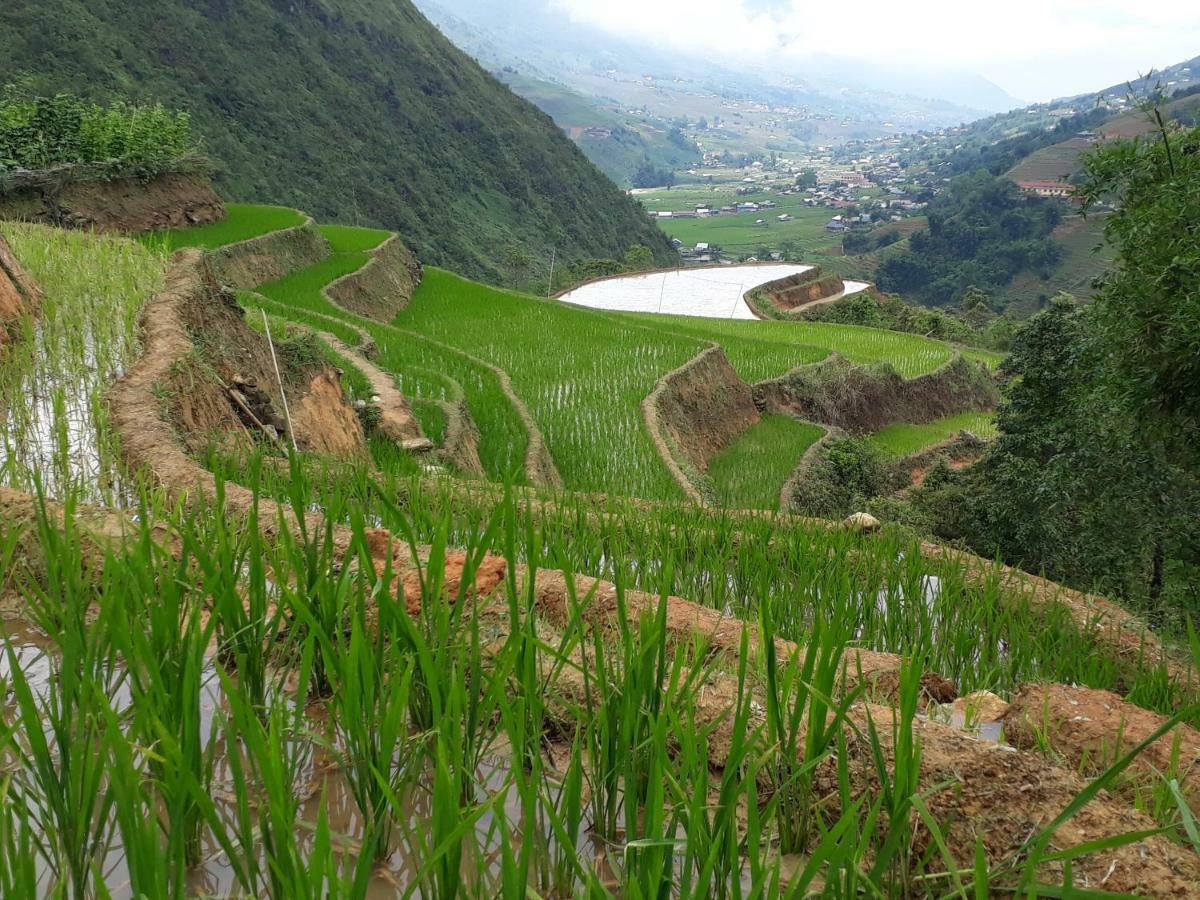 Organic Farm Homestay Sa Pa Eksteriør bilde