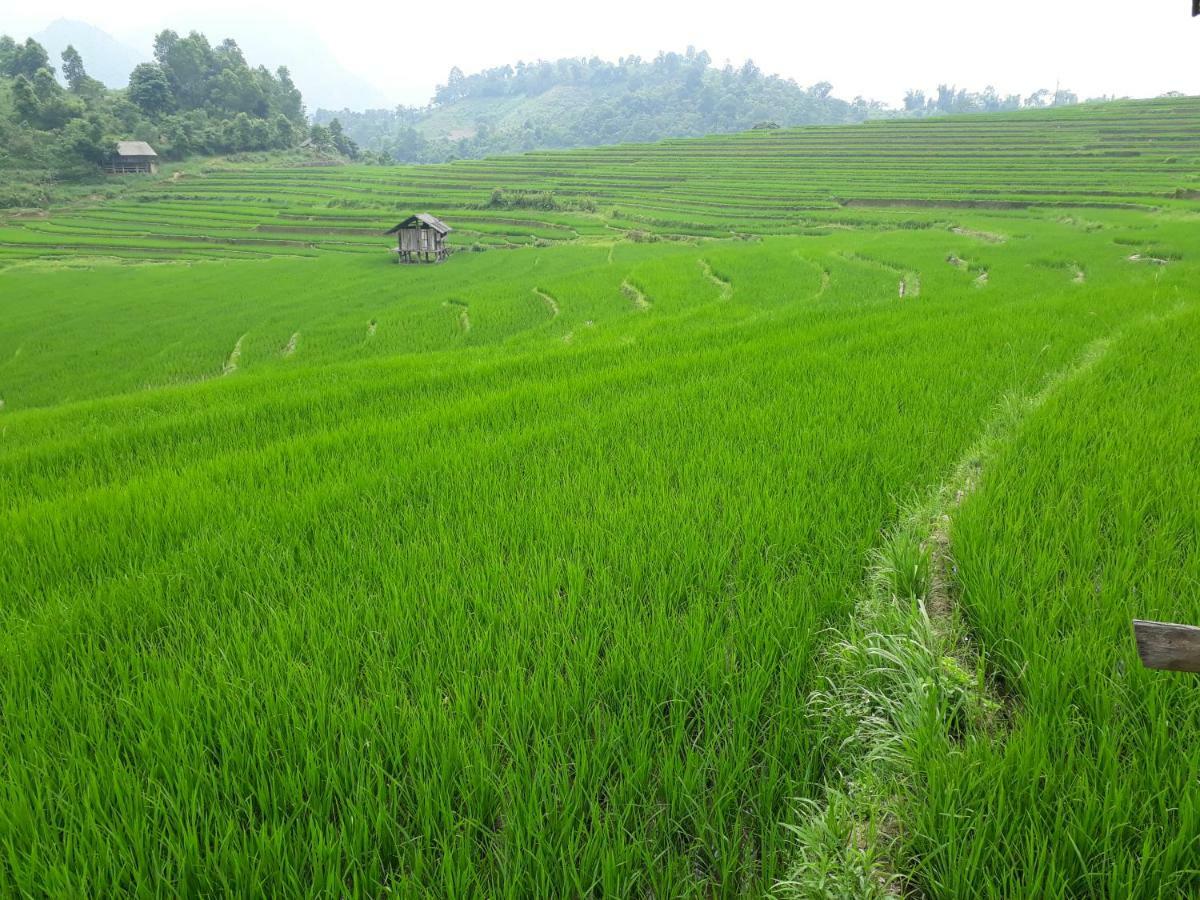 Organic Farm Homestay Sa Pa Eksteriør bilde